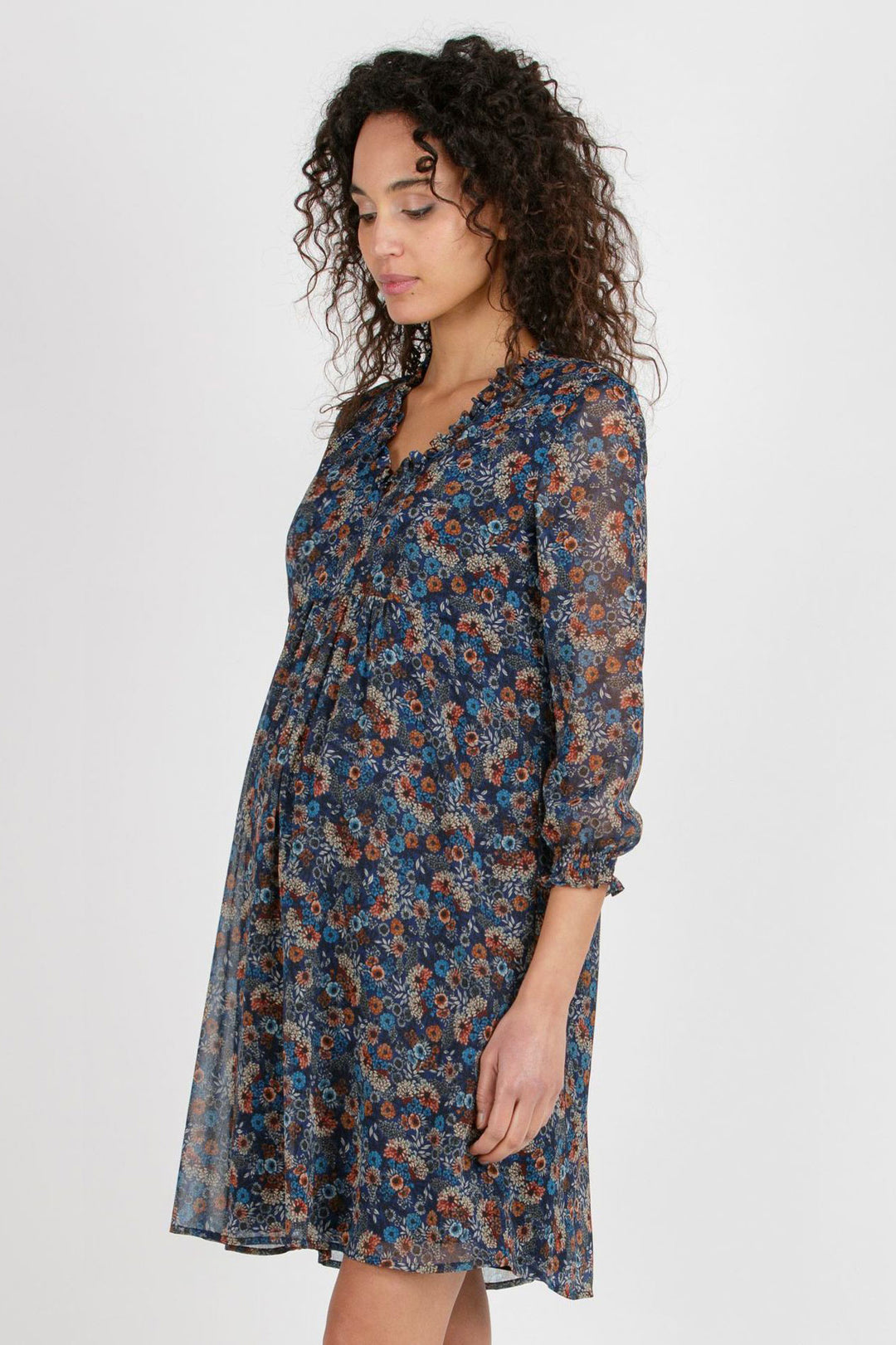 Diana Chiffon Floral Maternity Nursing Dress